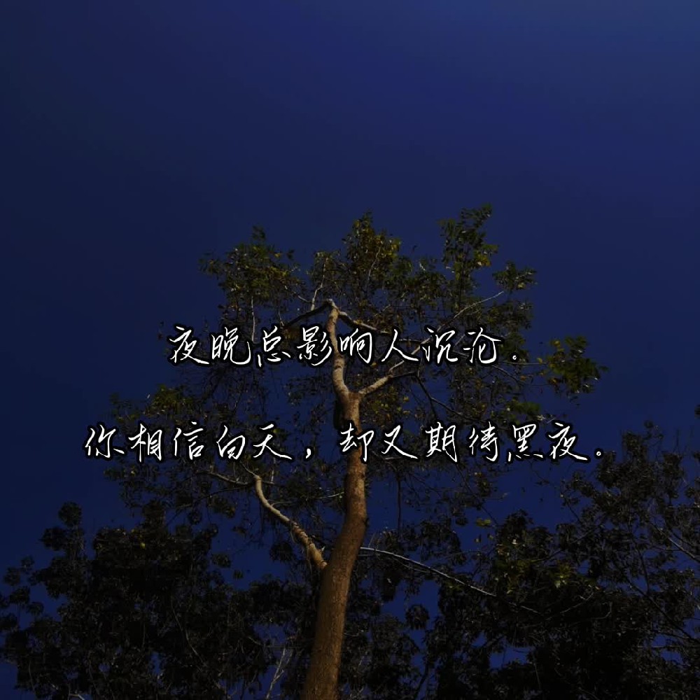 喜欢这文章的都是孤独且浪漫的人