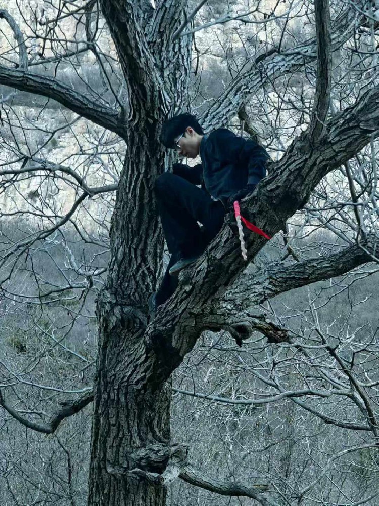 苍岩山